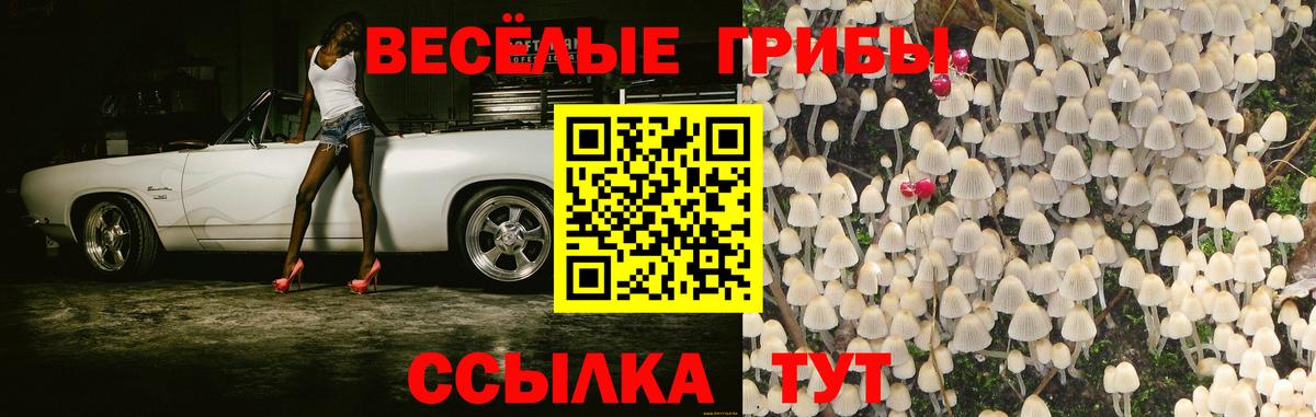 Псилоцибиновые грибы мицелий Тула